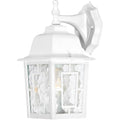 Nuvo Banyan 1 Light 12 Outdoor Wall