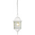 Nuvo Adams 1 Light Outdoor Hanging