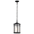 Nuvo Raiden 1lt Outdoor Hanging