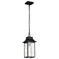 Nuvo Austen 1lt Outdoor Hanging