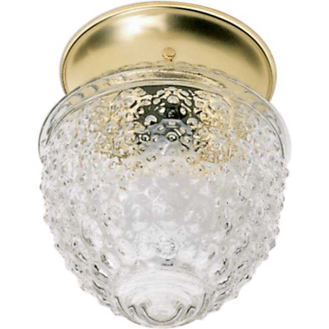 Nuvo  1 Light 6'' Ceiling Fixture