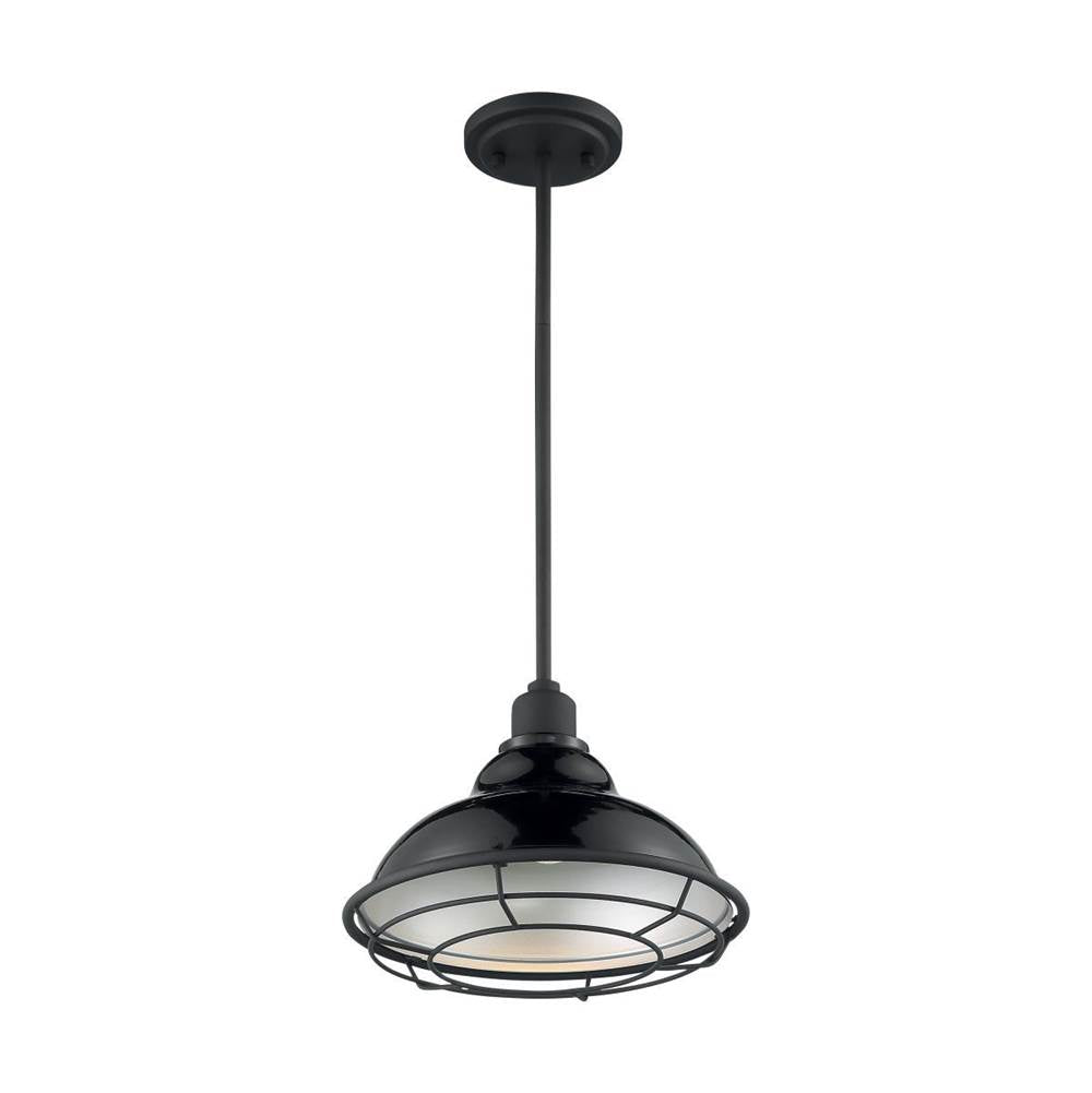 Nuvo Newbridge 1 Light Large Pendant