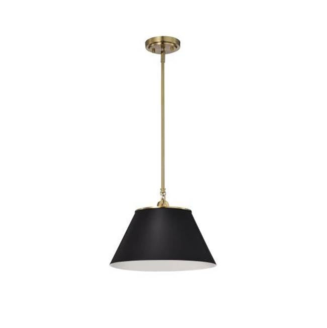 Nuvo Dover 1 Light Medium Pendant