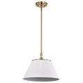 Nuvo Dover 1 Light Medium Pendant