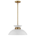Nuvo Perkins 1 Lt Small Pendant