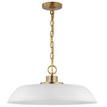 Nuvo Colony 1 Light Medium Pendant