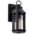 Nuvo Wilton; 1 Light Small Wall Lantern; Matte Black With Clear Seeded Glass