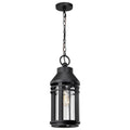 Nuvo Wilton; 1 Light Hanging Lantern; Matte Black With Clear Seeded Glass