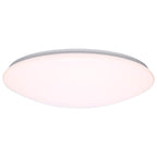 Nuvo  19 Inch Led Cloud Fixture - 25 Watts - 27k/30k/35k/40k/50k Cct Selectable - Round Shape - White Finish - 120 Volt