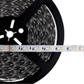 Nuvo  Dimension Pro; Tape Light Strip; 32 Ft.; Hi-output; Rgb Plus Tunable White; Plug Connection; Starfish Iot Capable; Ir Remote Included
