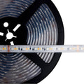 Nuvo  Dimension Pro; Tape Light Strip; 16 Ft.; Hi-output; Rgb Plus Tunable White; J-box Connection; Ip65; Starfish Iot Capable; Rf Remote Included