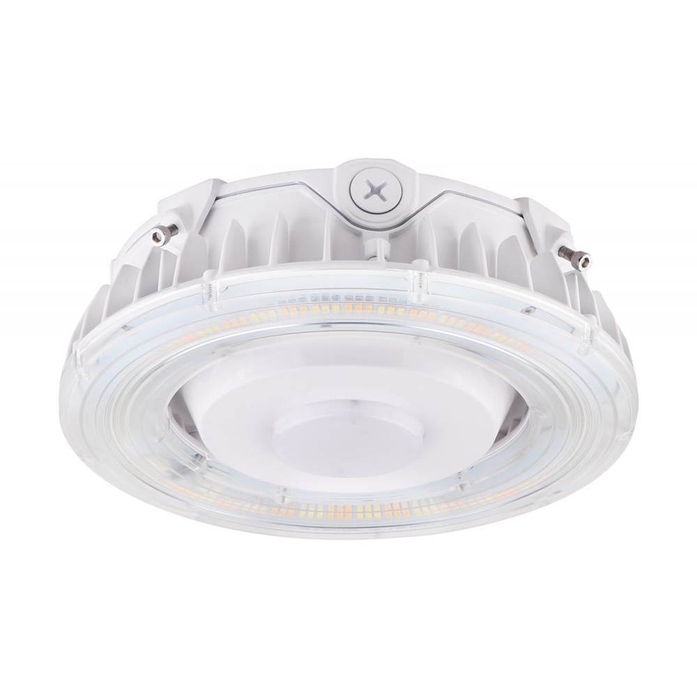 Nuvo  25 W Led Canopy Light