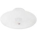 Nuvo  2 Light 12'' Ceiling Fixture