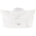 Nuvo  2 Light 12'' Ceiling Fixture