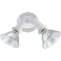 Nuvo  2 Light Par38 Floodlight