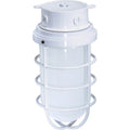 Nuvo  1 Lt Large Vapor Proof Surface