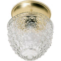 Nuvo  1 Light 6'' Ceiling Fixture
