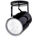 Nuvo  Plant Lamp - Black Finish