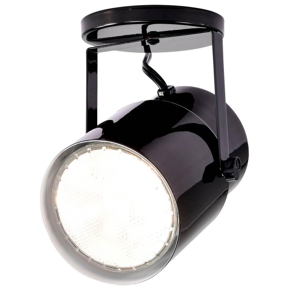 Nuvo SF77/394  Plant Lamp - Black Finish Image 5