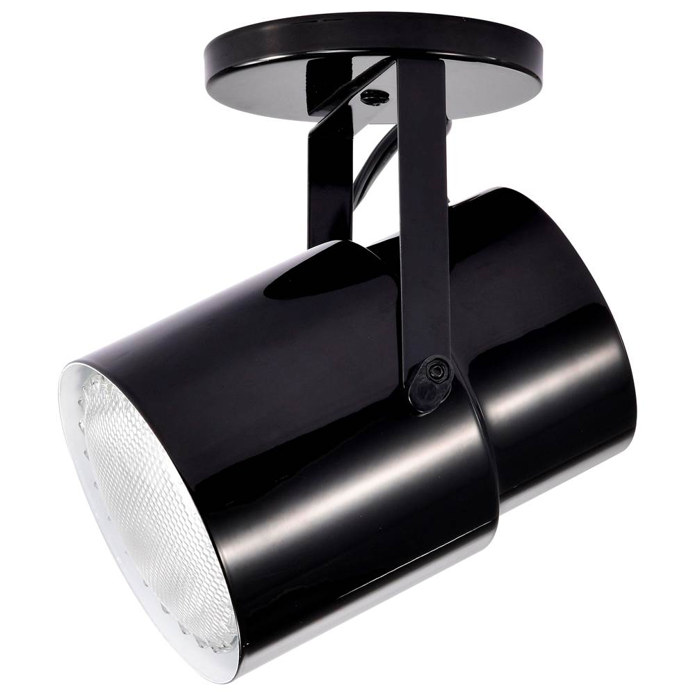Nuvo SF77/394  Plant Lamp - Black Finish Image 4
