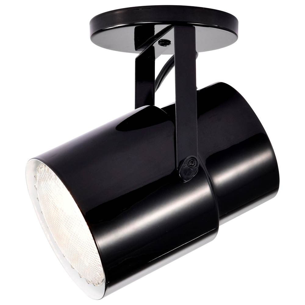 Nuvo SF77/394  Plant Lamp - Black Finish Image 3