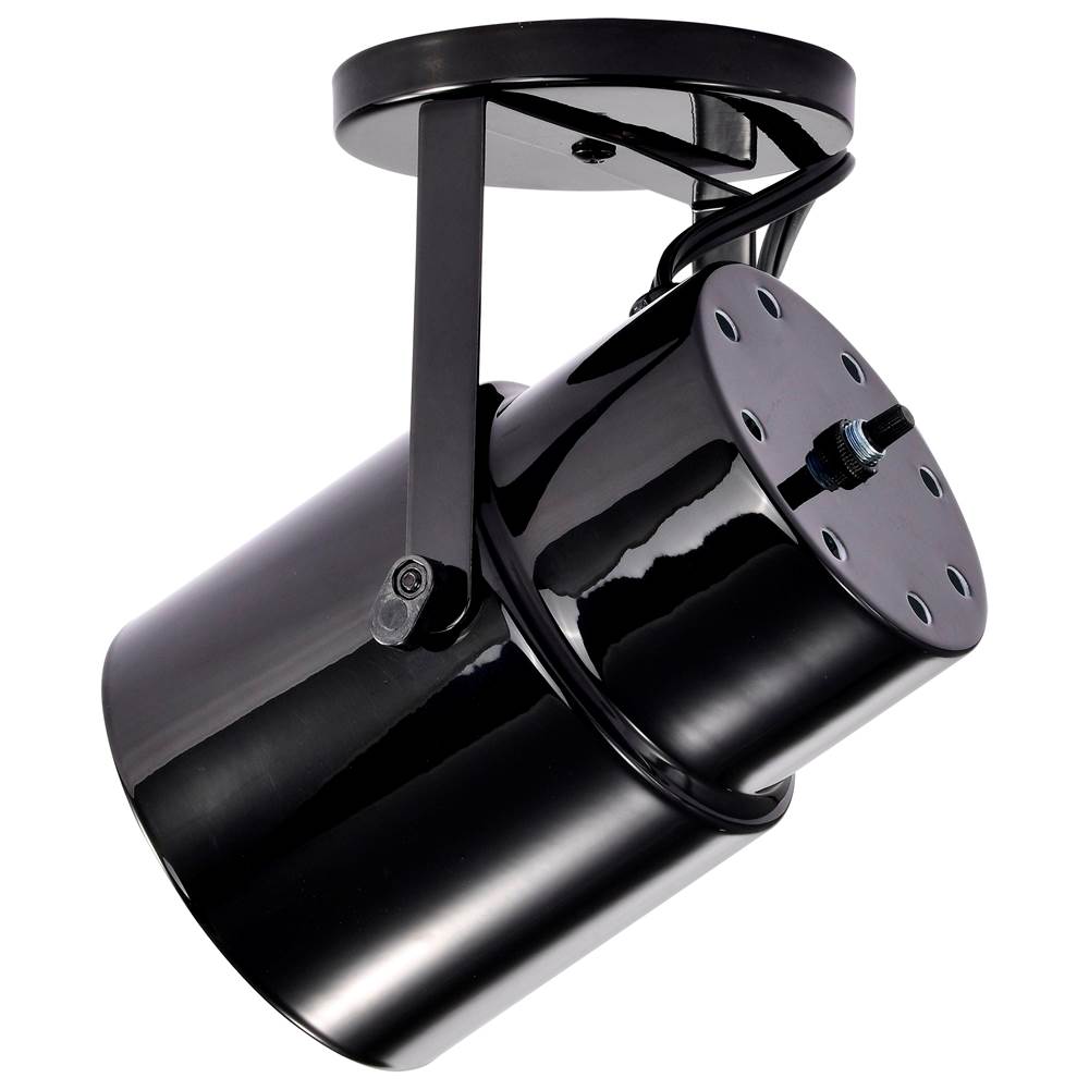 Nuvo SF77/394  Plant Lamp - Black Finish Image 2