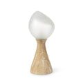 Palecek 2246-79  Zevi Table Lamp Image 1