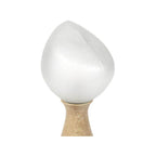 Palecek Zevi Table Lamp