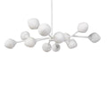 Palecek Delfina Chandelier