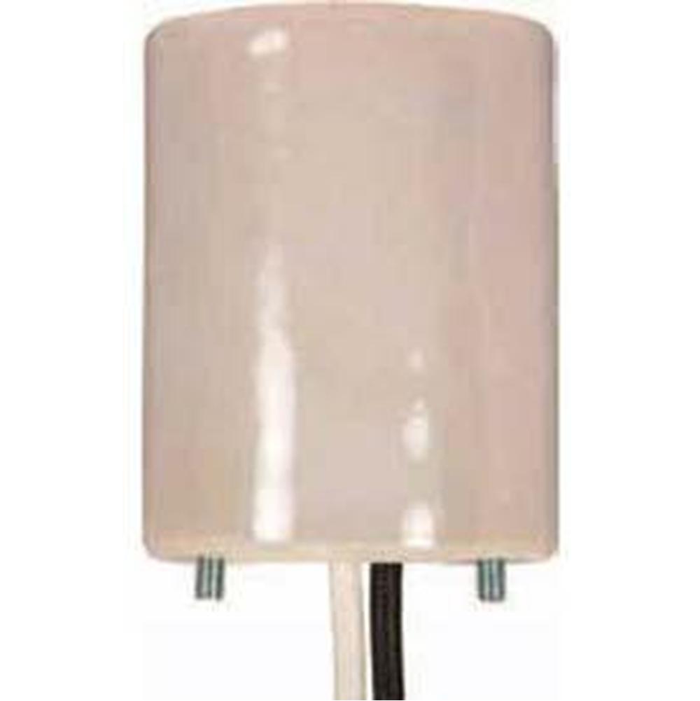 Satco 5 Kv Porcelain Mogul Socket With 21'' 200