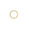 Satco 1/4 Ip Tooth Washer Brass Plate