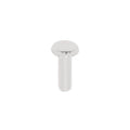 Satco 8/32 X 1/2'' Th Screw White