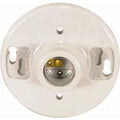 Satco Keyless Glazed Porcelain Ceiling