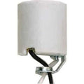 Satco Porcelain Socket-z14.5 Hky With 20'' 125d