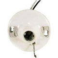 Satco Plastic Keyless Receptacle/pig