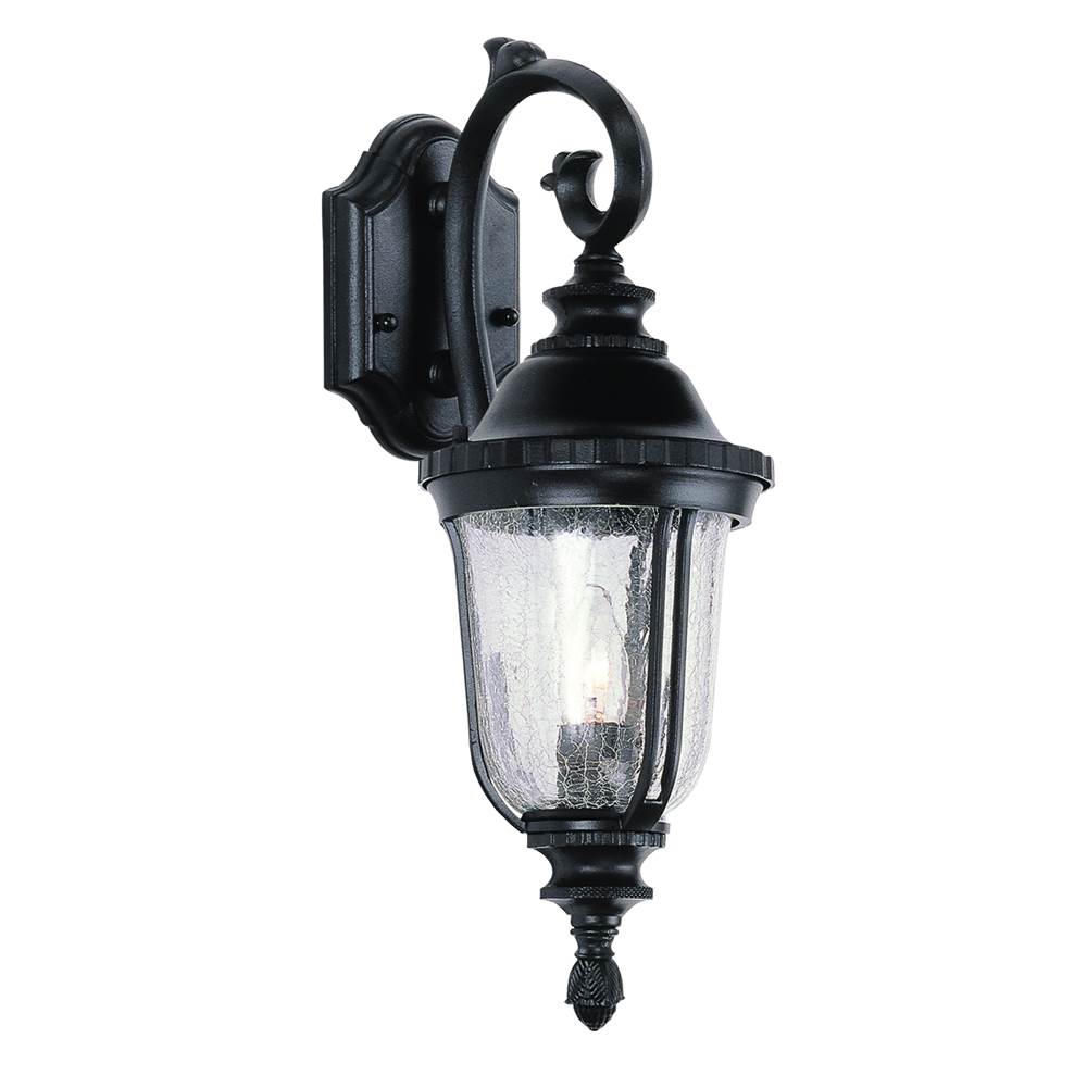 Trans Globe Lighting Chessie 20'' Wall Lantern