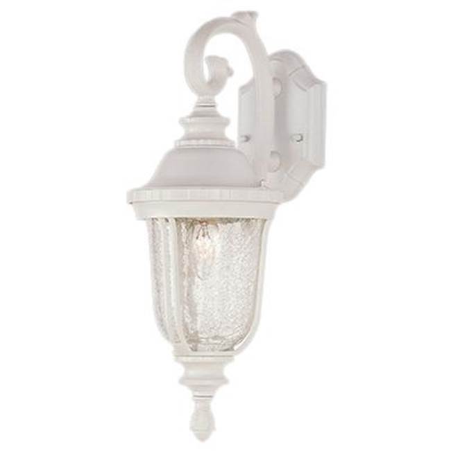 Trans Globe Lighting Chessie 20'' Wall Lantern