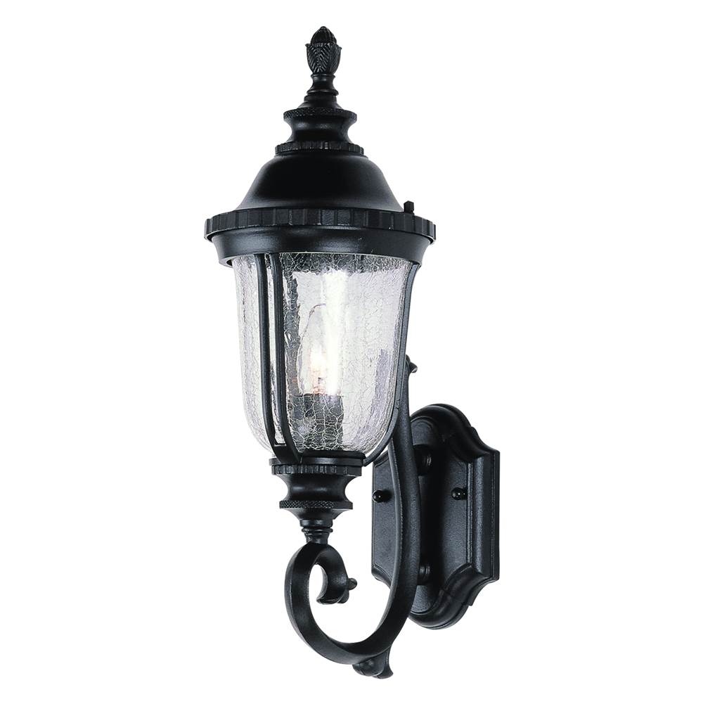 Trans Globe Lighting Chessie 20'' Wall Lantern