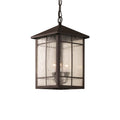 Trans Globe Lighting Capistrano 15'' Hanging Lantern