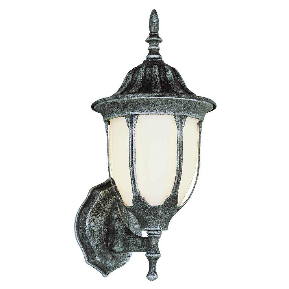 Trans Globe Lighting Hamilton 13'' Wall Lantern