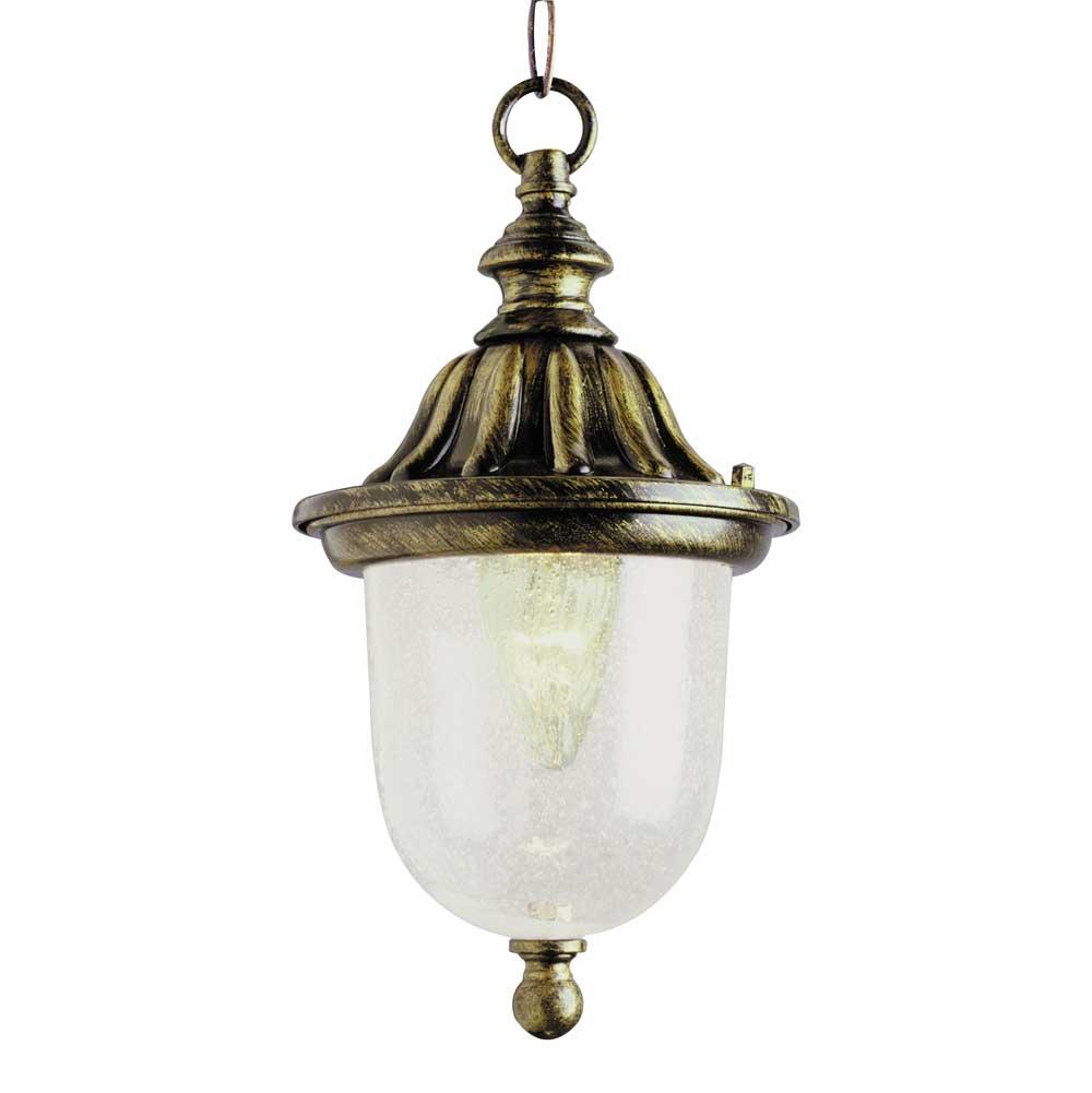Trans Globe Lighting  Vincent 18.5'' Hanging Lantern