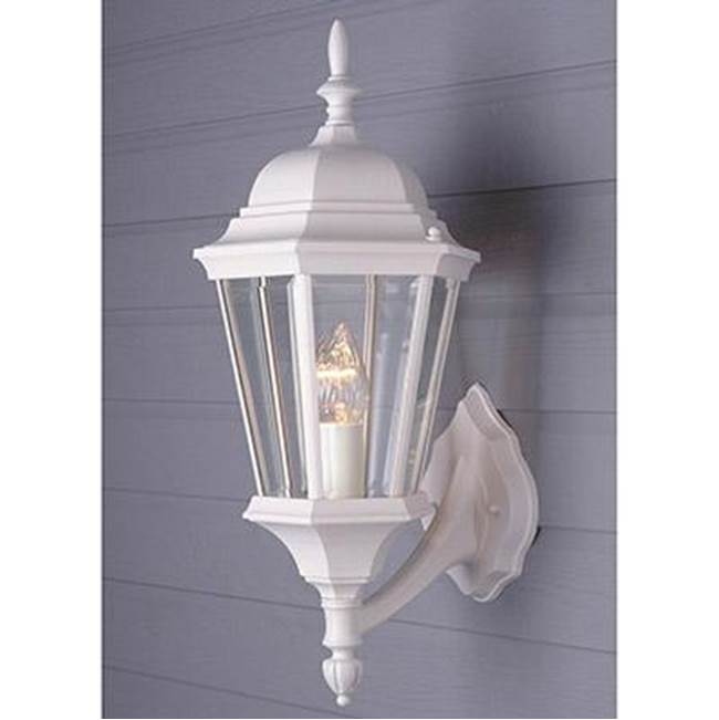 Trans Globe Lighting  San Rafael 23'' Wall Lantern