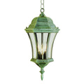 Trans Globe Lighting  Burlington 19.5'' Hanging Lantern