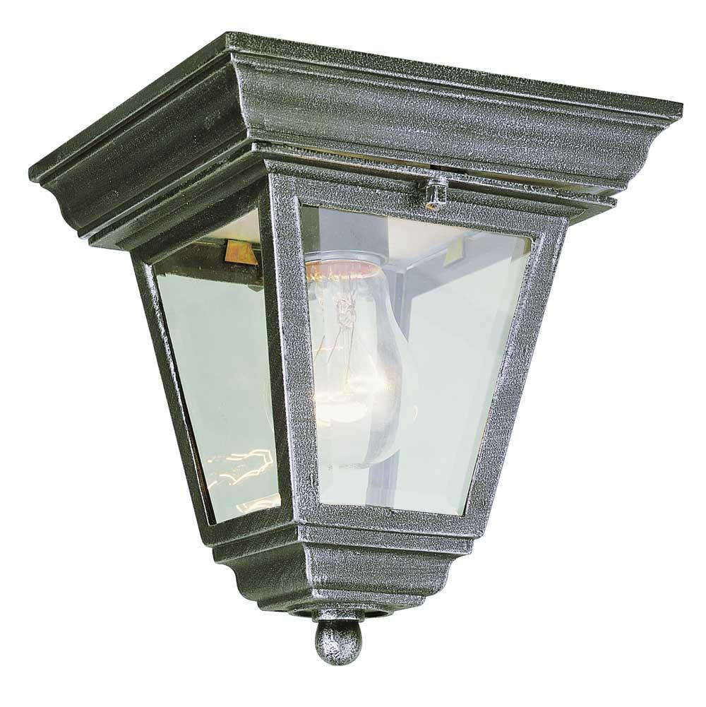 Trans Globe Lighting  Robertson 7.25'' Flushmount Lantern