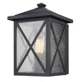 Trans Globe Lighting Leonis 12'' Wall Lantern