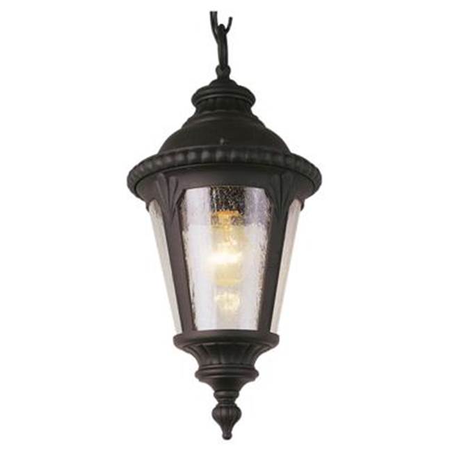 Trans Globe Lighting  Commons 17'' Hanging Lantern