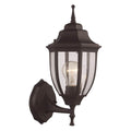 Trans Globe Lighting  1lt Wall Lantern Twin Pk Cl-bk