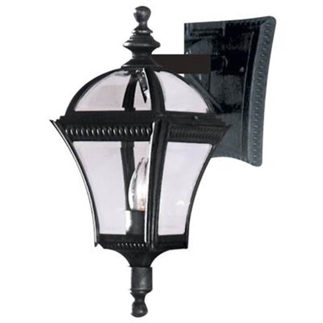 Trans Globe Lighting  Washington 16'' Wall Lantern