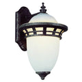 Trans Globe Lighting Stephano 12'' Wall Lantern