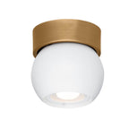 Troy Lighting C1406-PBR/SWH Patina Brass,Soft White Odin Flush Mount Image 2